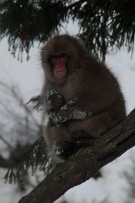 20110201 _MG_7595.jpg
