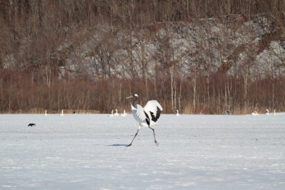 20110203 _MG_8479.jpg