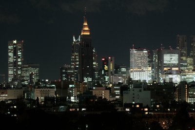 Shinjuku Skyline