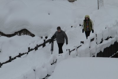 20110130 _MG_6599.jpg