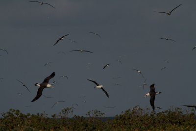 Even more flying