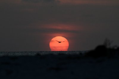 Sunset off Rusty Bucket, Midway Island