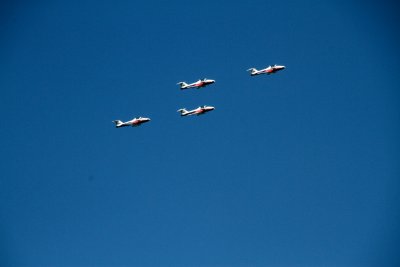 Snowbirds