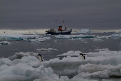 MV Ushuaia