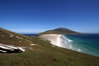 Suanders Island, Falklands