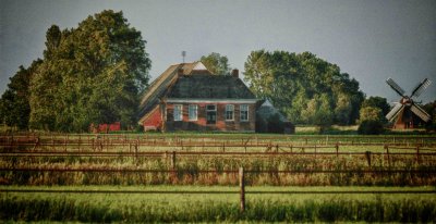 Groningen farm