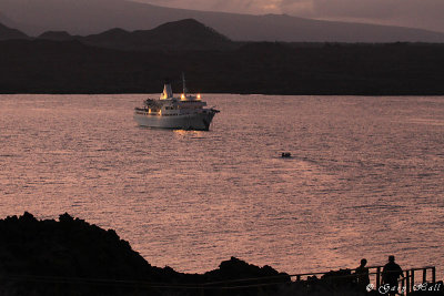 Galapagos Legend_11-10-20_1024.JPG