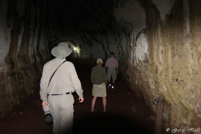 Lava Tunnell 133.jpg