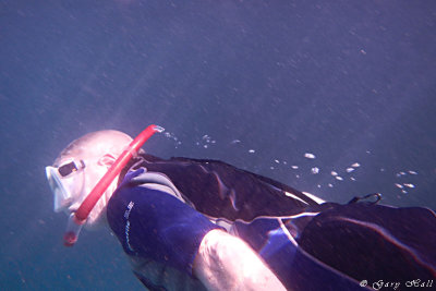 Snorkelling_11-10-20_1144.JPG