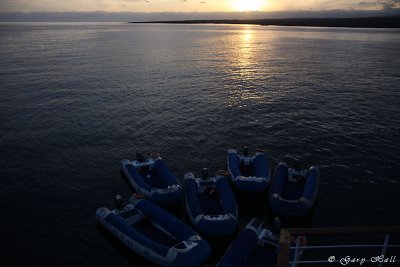 Sunrise - Santa Cruz_11-10-18_1205.JPG