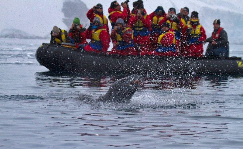 Leopard-Seal-and-group-watching-Peterman-Island-area-cruise-IMG_2895-11-March-2011.jpg