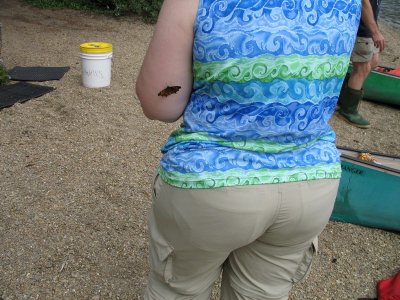 IMG_0462_a.jpg