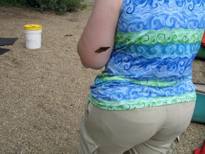 IMG_0463_a.jpg