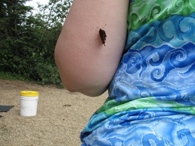 IMG_0464_a.jpg
