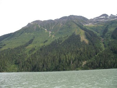 IMG_0555_a.jpg