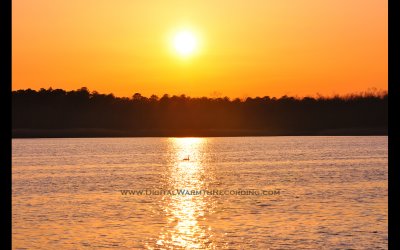 Tuckahoe Wildlife Preserve