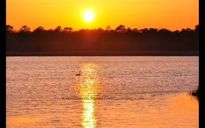 Tuckahoe Wildlife Preserve