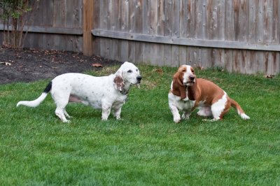 Molly & Cooper