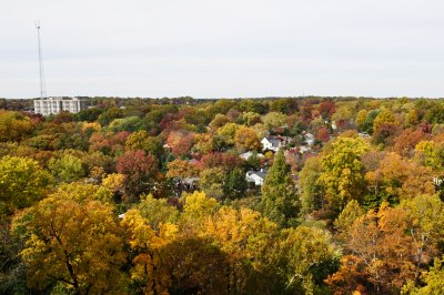 View from Chevy Chase