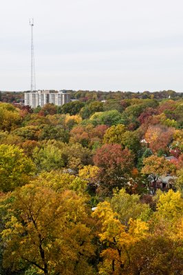 View from Chevy Chase