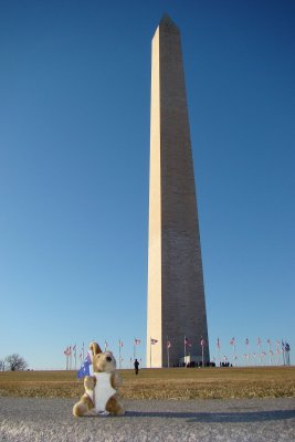 Being Dwarfed by the Washington Monument
