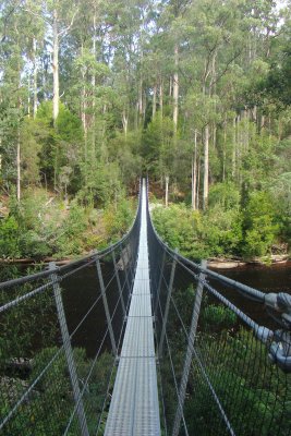 Suspension Bridge over the Picton River