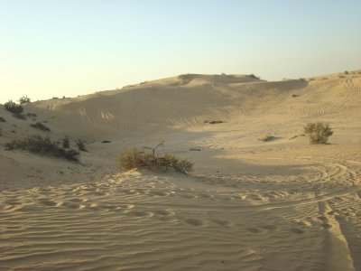 Arabian Desert