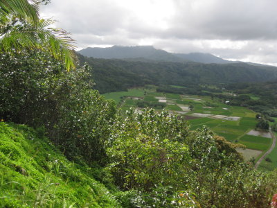 kauai 3 2011 156.JPG