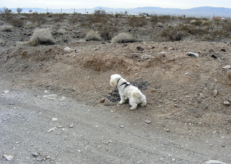 Our Border Patrol