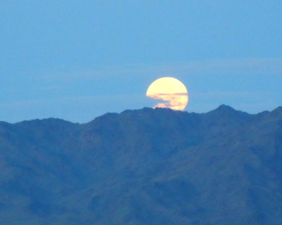 Moon Set