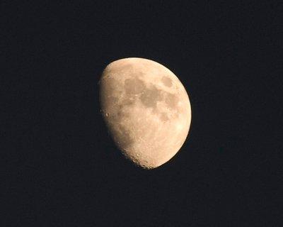 Moon Shot