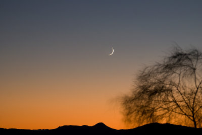 Moon Set