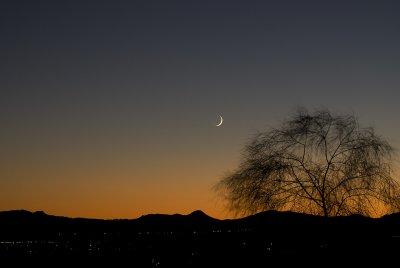 Moon Set