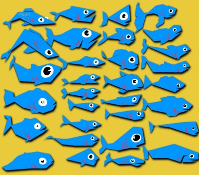 Fish Shape Concepts