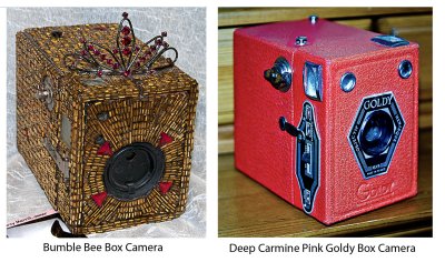Goldy-and-Bumble-Bee-Box-Cameras.jpg