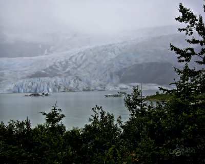 Foggy Mendenhall Glacier