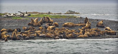 Alaskan Cruise