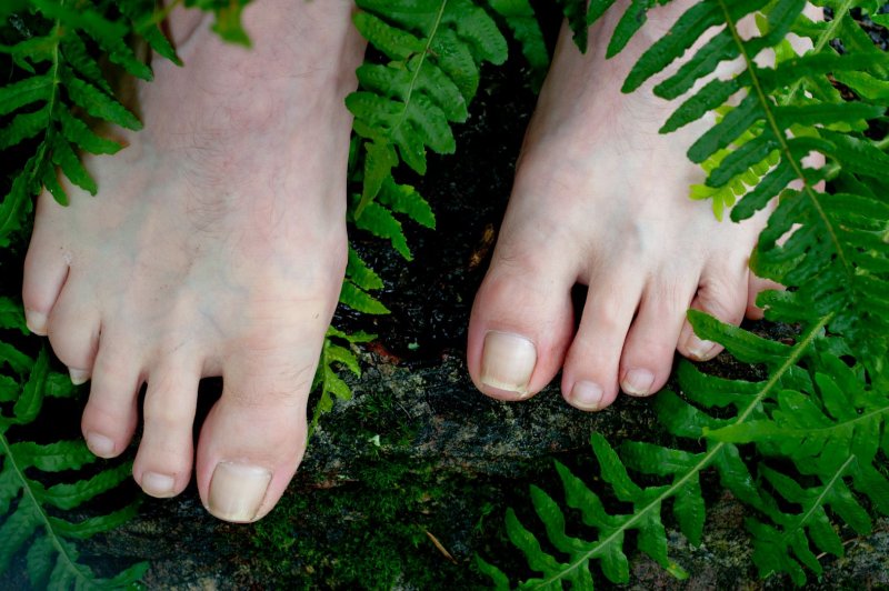 Paul-Furman_fern-feet_9162.jpg