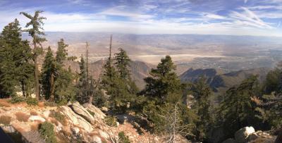 Panoramic View of Palm Springs