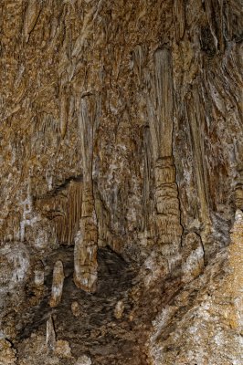 Carlsbad Caverns_009