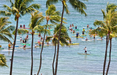 Lining up for Standing Surfboard Paddling Race Waikiki Beach