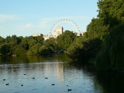 London Eye from St James Park