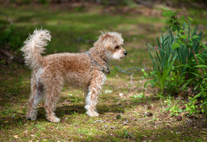 _DSC4570s1080.jpg