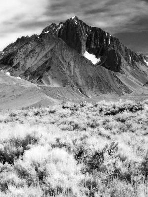 Eastern Sierra, July 2006