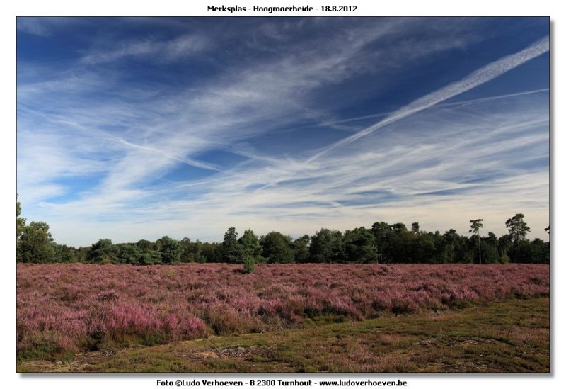 Hoogmoerheide Merksplas / Turnhout