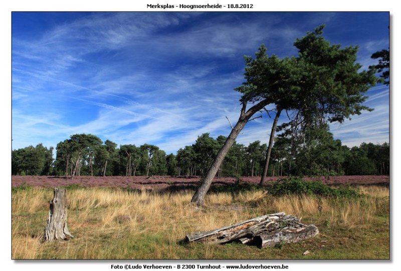 Hoogmoerheide Merksplas / Turnhout