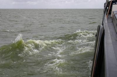 Markermeer / IJsselmeer