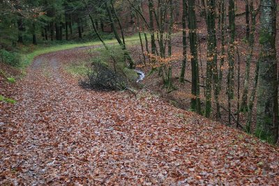 SüdEifel: Plütscheid en omgeving