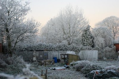 Turnhout (Belgium) Oude Kerkhof in de winter