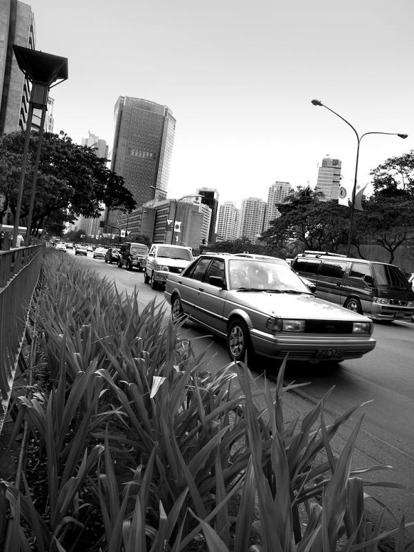 Ayala